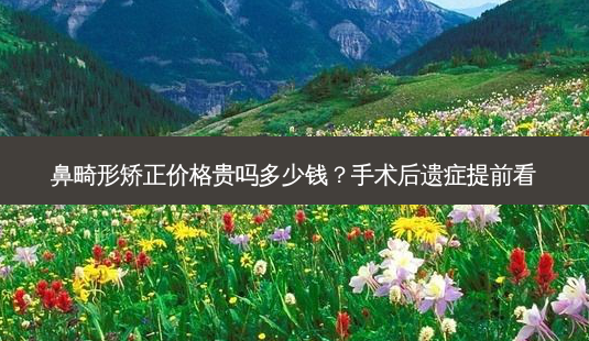鼻畸形矫正价格贵吗多少钱?手术后遗症提前看-第1张图片-南山整形网 鼻畸形矫正价格贵吗多少钱?手术后遗症提前看-第1张图片-南山整形网