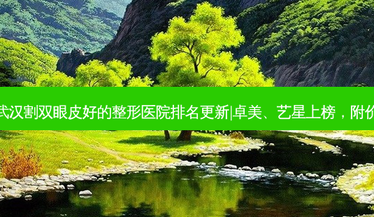 2023武汉割双眼皮好的整形医院排名更新|卓美、艺星上榜，附价格表！-第1张图片-南山整形网