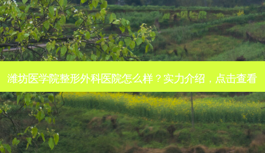 潍坊医学院整形外科医院怎么样?实力介绍,点击查看-第1张图片-南山整形网 潍坊医学院整形外科医院怎么样?实力介绍,点击查看-第1张图片-南山整形网