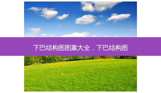 下巴结构图图案大全,下巴结构图-第1张图片-南山整形网 下巴结构图图案大全,下巴结构图-第1张图片-南山整形网