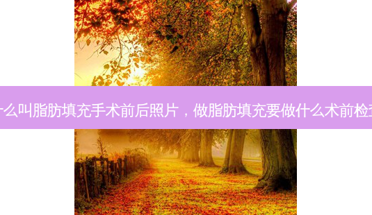 什么叫脂肪填充手术前后照片,做脂肪填充要做什么术前检查-第1张图片-南山整形网 什么叫脂肪填充手术前后照片,做脂肪填充要做什么术前检查-第1张图片-南山整形网