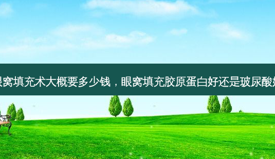 眼窝填充术大概要多少钱,眼窝填充胶原蛋白好还是玻尿酸好-第1张图片-南山整形网 眼窝填充术大概要多少钱,眼窝填充胶原蛋白好还是玻尿酸好-第1张图片-南山整形网