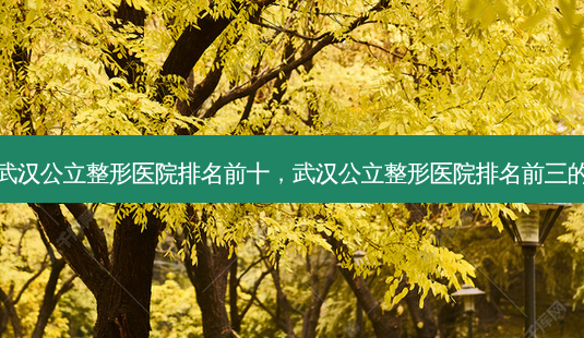 武汉公立整形医院排名前十,武汉公立整形医院排名前三的-第1张图片-南山整形网 武汉公立整形医院排名前十,武汉公立整形医院排名前三的-第1张图片-南山整形网