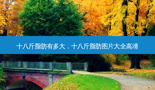 十八斤脂肪有多大,十八斤脂肪图片大全高清-第1张图片-南山整形网 十八斤脂肪有多大,十八斤脂肪图片大全高清-第1张图片-南山整形网