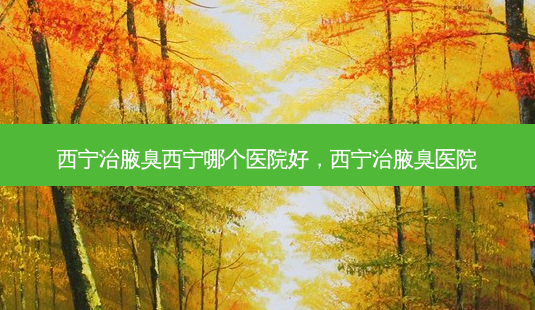 西宁治腋臭西宁哪个医院好,西宁治腋臭医院-第1张图片-南山整形网 西宁治腋臭西宁哪个医院好,西宁治腋臭医院-第1张图片-南山整形网