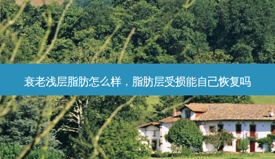 衰老浅层脂肪怎么样,脂肪层受损能自己恢复吗-第1张图片-南山整形网 衰老浅层脂肪怎么样,脂肪层受损能自己恢复吗-第1张图片-南山整形网