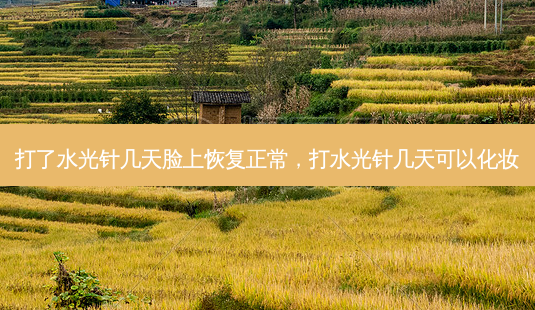 打了水光针几天脸上恢复正常,打水光针几天可以化妆-第1张图片-南山整形网 打了水光针几天脸上恢复正常,打水光针几天可以化妆-第1张图片-南山整形网