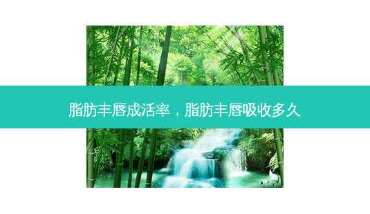 脂肪丰唇成活率,脂肪丰唇吸收多久-第1张图片-南山整形网 脂肪丰唇成活率,脂肪丰唇吸收多久-第1张图片-南山整形网