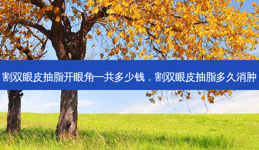 割双眼皮抽脂开眼角一共多少钱,割双眼皮抽脂多久消肿-第1张图片-南山整形网 割双眼皮抽脂开眼角一共多少钱,割双眼皮抽脂多久消肿-第1张图片-南山整形网