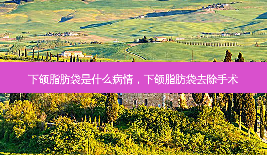 下颌脂肪袋是什么病情,下颌脂肪袋去除手术-第1张图片-南山整形网 下颌脂肪袋是什么病情,下颌脂肪袋去除手术-第1张图片-南山整形网