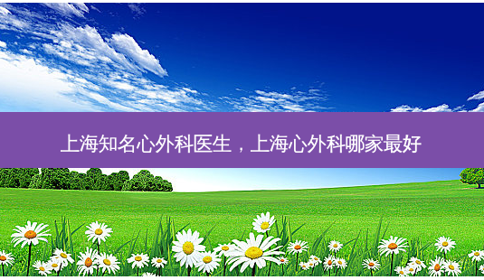 上海知名心外科医生,上海心外科哪家 *** -第1张图片-南山整形网 上海知名心外科医生,上海心外科哪家 *** -第1张图片-南山整形网
