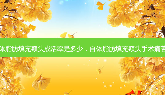 自体脂肪填充额头成活率是多少,自体脂肪填充额头手术痛苦吗-第1张图片-南山整形网 自体脂肪填充额头成活率是多少,自体脂肪填充额头手术痛苦吗-第1张图片-南山整形网