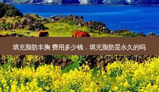 填充脂肪丰胸 费用多少钱,填充脂肪是永久的吗-第1张图片-南山整形网 填充脂肪丰胸 费用多少钱,填充脂肪是永久的吗-第1张图片-南山整形网