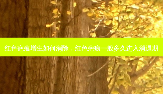 红色疤痕增生如何消除,红色疤痕一般多久进入消退期-第1张图片-南山整形网 红色疤痕增生如何消除,红色疤痕一般多久进入消退期-第1张图片-南山整形网