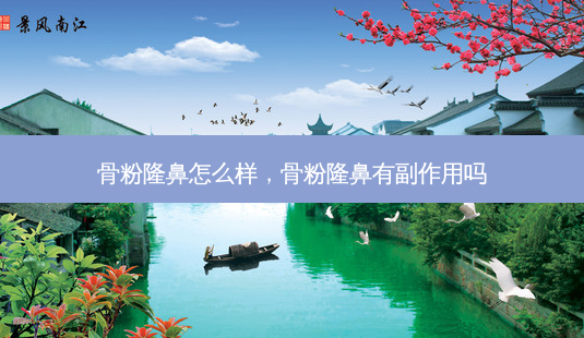 骨粉隆鼻怎么样,骨粉隆鼻有副作用吗-第1张图片-南山整形网 骨粉隆鼻怎么样,骨粉隆鼻有副作用吗-第1张图片-南山整形网