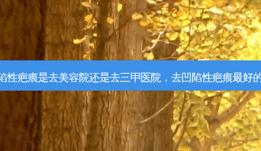 去凹陷性疤痕是去美容院还是去三甲医院,去凹陷性疤痕 *** 的办法-第1张图片-南山整形网 去凹陷性疤痕是去美容院还是去三甲医院,去凹陷性疤痕 *** 的办法-第1张图片-南山整形网