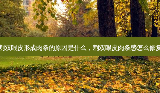 割双眼皮形成肉条的原因是什么,割双眼皮肉条感怎么修复-第1张图片-南山整形网 割双眼皮形成肉条的原因是什么,割双眼皮肉条感怎么修复-第1张图片-南山整形网