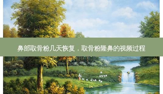 鼻部取骨粉几天恢复,取骨粉隆鼻的视频过程-第1张图片-南山整形网 鼻部取骨粉几天恢复,取骨粉隆鼻的视频过程-第1张图片-南山整形网