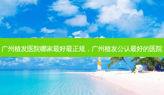 广州植发医院哪家 *** 最正规,广州植发公认 *** 的医院-第1张图片-南山整形网 广州植发医院哪家 *** 最正规,广州植发公认 *** 的医院-第1张图片-南山整形网