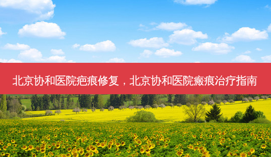 北京协和医院疤痕修复,北京协和医院瘢痕治疗指南-第1张图片-南山整形网 北京协和医院疤痕修复,北京协和医院瘢痕治疗指南-第1张图片-南山整形网