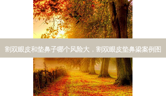 割双眼皮和垫鼻子哪个风险大,割双眼皮垫鼻梁案例图-第1张图片-南山整形网 割双眼皮和垫鼻子哪个风险大,割双眼皮垫鼻梁案例图-第1张图片-南山整形网