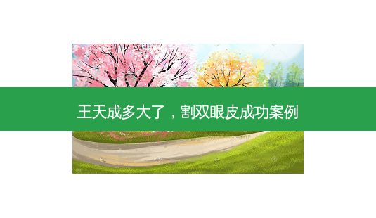 王天成多大了,割双眼皮成功案例-第1张图片-南山整形网 王天成多大了,割双眼皮成功案例-第1张图片-南山整形网