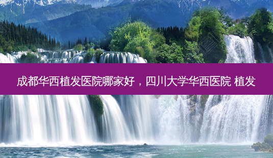 成都华西植发医院哪家好,四川大学华西医院 植发-第1张图片-南山整形网 成都华西植发医院哪家好,四川大学华西医院 植发-第1张图片-南山整形网