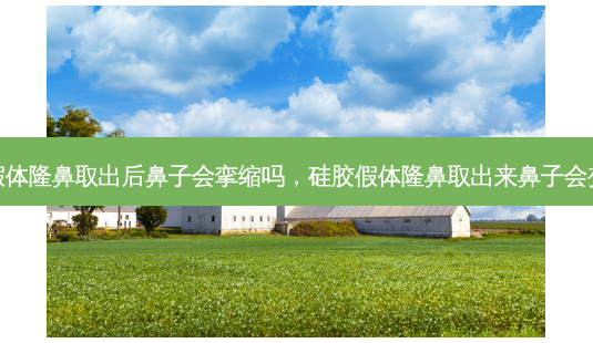 硅胶假体隆鼻取出后鼻子会挛缩吗,硅胶假体隆鼻取出来鼻子会变形吗-第1张图片-南山整形网 硅胶假体隆鼻取出后鼻子会挛缩吗,硅胶假体隆鼻取出来鼻子会变形吗-第1张图片-南山整形网