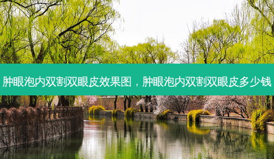 肿眼泡内双割双眼皮效果图,肿眼泡内双割双眼皮多少钱-第1张图片-南山整形网 肿眼泡内双割双眼皮效果图,肿眼泡内双割双眼皮多少钱-第1张图片-南山整形网