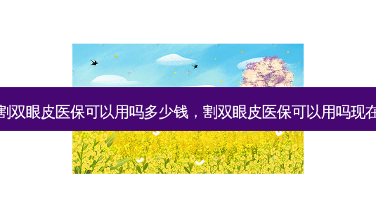 割双眼皮医保可以用吗多少钱,割双眼皮医保可以用吗现在-第1张图片-南山整形网 割双眼皮医保可以用吗多少钱,割双眼皮医保可以用吗现在-第1张图片-南山整形网