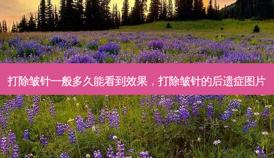 打除皱针一般多久能看到效果,打除皱针的后遗症图片-第1张图片-南山整形网 打除皱针一般多久能看到效果,打除皱针的后遗症图片-第1张图片-南山整形网
