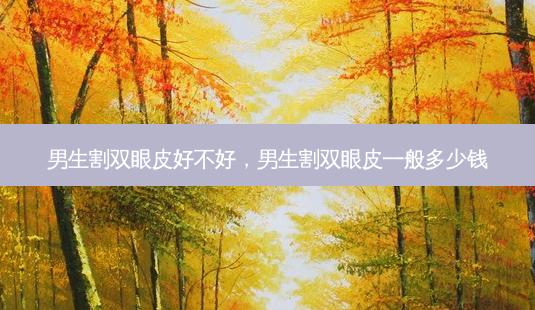 男生割双眼皮好不好,男生割双眼皮一般多少钱-第1张图片-南山整形网 男生割双眼皮好不好,男生割双眼皮一般多少钱-第1张图片-南山整形网