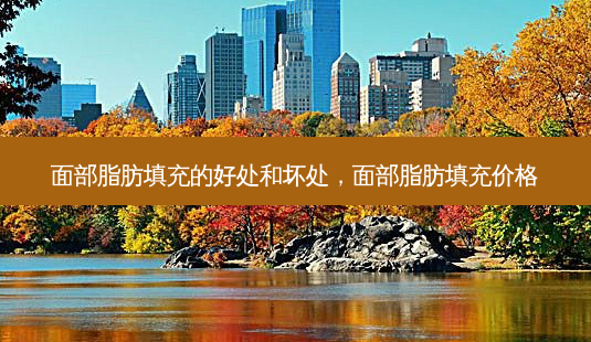 面部脂肪填充的好处和坏处,面部脂肪填充价格-第1张图片-南山整形网 面部脂肪填充的好处和坏处,面部脂肪填充价格-第1张图片-南山整形网
