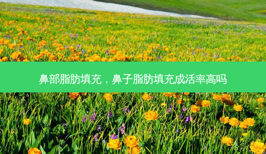 鼻部脂肪填充,鼻子脂肪填充成活率高吗-第1张图片-南山整形网 鼻部脂肪填充,鼻子脂肪填充成活率高吗-第1张图片-南山整形网