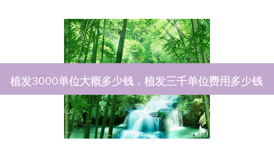 植发3000单位大概多少钱,植发三千单位费用多少钱-第1张图片-南山整形网 植发3000单位大概多少钱,植发三千单位费用多少钱-第1张图片-南山整形网
