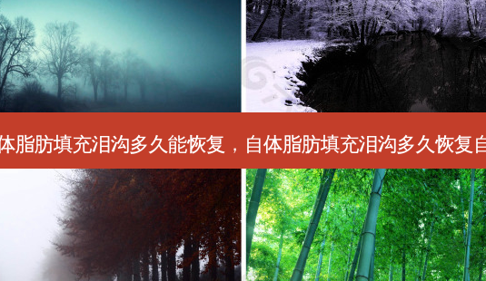自体脂肪填充泪沟多久能恢复,自体脂肪填充泪沟多久恢复自然-第1张图片-南山整形网 自体脂肪填充泪沟多久能恢复,自体脂肪填充泪沟多久恢复自然-第1张图片-南山整形网