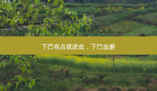 下巴有点状淤血,下巴血瘀-第1张图片-南山整形网 下巴有点状淤血,下巴血瘀-第1张图片-南山整形网