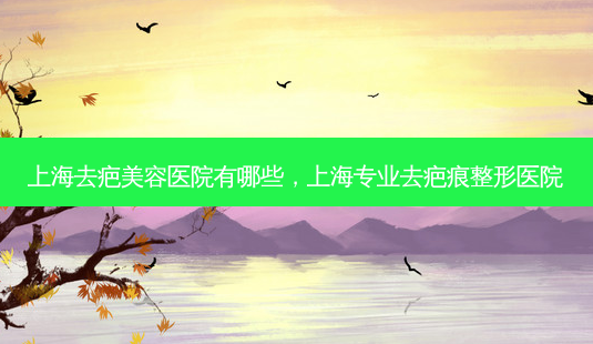 上海去疤美容医院有哪些,上海专业去疤痕整形医院-第1张图片-南山整形网 上海去疤美容医院有哪些,上海专业去疤痕整形医院-第1张图片-南山整形网