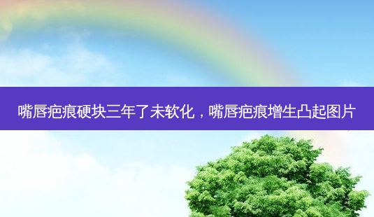 嘴唇疤痕硬块三年了未软化,嘴唇疤痕增生凸起图片-第1张图片-南山整形网 嘴唇疤痕硬块三年了未软化,嘴唇疤痕增生凸起图片-第1张图片-南山整形网