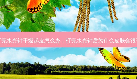 打完水光针干燥起皮怎么办,打完水光针后为什么皮肤会很干-第1张图片-南山整形网 打完水光针干燥起皮怎么办,打完水光针后为什么皮肤会很干-第1张图片-南山整形网