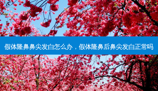 假体隆鼻鼻尖发白怎么办,假体隆鼻后鼻尖发白正常吗-第1张图片-南山整形网 假体隆鼻鼻尖发白怎么办,假体隆鼻后鼻尖发白正常吗-第1张图片-南山整形网
