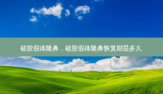 硅胶假体隆鼻,硅胶假体隆鼻恢复期是多久-第1张图片-南山整形网 硅胶假体隆鼻,硅胶假体隆鼻恢复期是多久-第1张图片-南山整形网