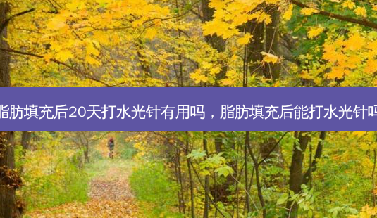脂肪填充后20天打水光针有用吗,脂肪填充后能打水光针吗-第1张图片-南山整形网 脂肪填充后20天打水光针有用吗,脂肪填充后能打水光针吗-第1张图片-南山整形网