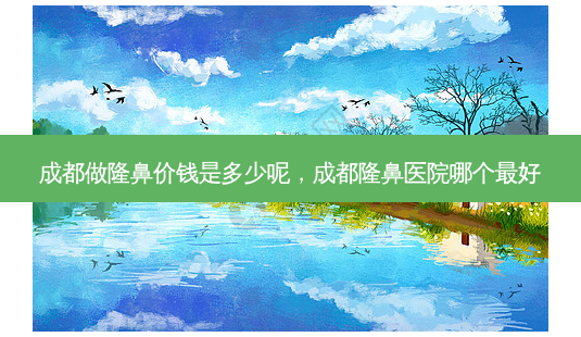 成都做隆鼻价钱是多少呢,成都隆鼻医院哪个 *** -第1张图片-南山整形网 成都做隆鼻价钱是多少呢,成都隆鼻医院哪个 *** -第1张图片-南山整形网