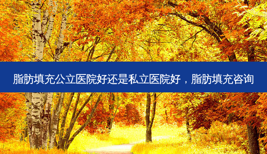 脂肪填充公立医院好还是私立医院好,脂肪填充咨询-第1张图片-南山整形网 脂肪填充公立医院好还是私立医院好,脂肪填充咨询-第1张图片-南山整形网