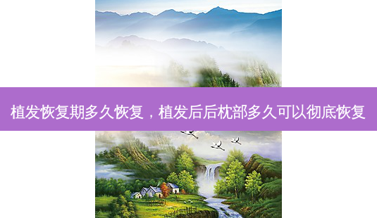 植发恢复期多久恢复,植发后后枕部多久可以彻底恢复-第1张图片-南山整形网 植发恢复期多久恢复,植发后后枕部多久可以彻底恢复-第1张图片-南山整形网
