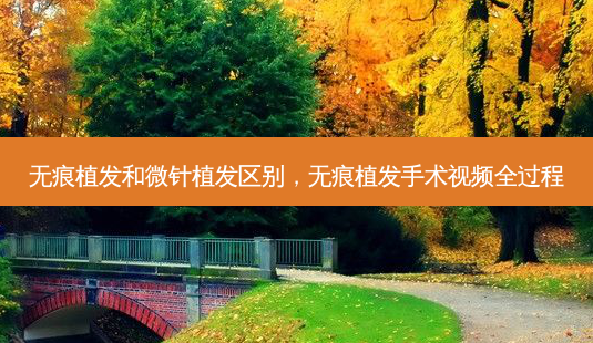 无痕植发和微针植发区别,无痕植发手术视频全过程-第1张图片-南山整形网 无痕植发和微针植发区别,无痕植发手术视频全过程-第1张图片-南山整形网