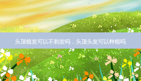头顶植发可以不剃发吗,头顶头发可以种植吗-第1张图片-南山整形网 头顶植发可以不剃发吗,头顶头发可以种植吗-第1张图片-南山整形网