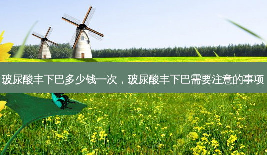 玻尿酸丰下巴多少钱一次,玻尿酸丰下巴需要注意的事项-第1张图片-南山整形网 玻尿酸丰下巴多少钱一次,玻尿酸丰下巴需要注意的事项-第1张图片-南山整形网