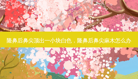 隆鼻后鼻尖顶出一小块白色,隆鼻后鼻尖麻木怎么办-第1张图片-南山整形网 隆鼻后鼻尖顶出一小块白色,隆鼻后鼻尖麻木怎么办-第1张图片-南山整形网